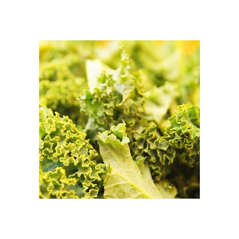 Salade de kale et courge butternut Salade de kale et courge butternut