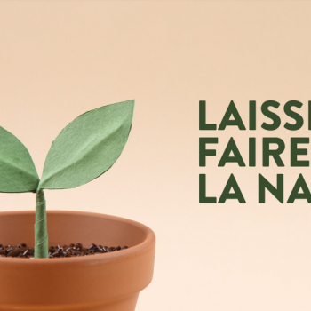 Et si nous participions tous à la relance du cornichon français ?