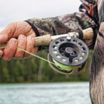 D'où vient la tradition du poisson d'avril ?