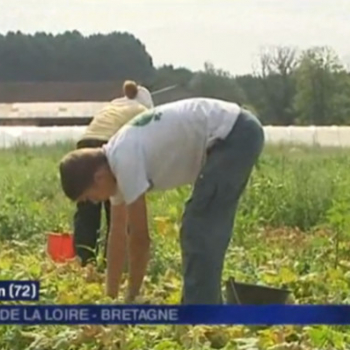 France 3 filme la première production de nos Cornichons Français