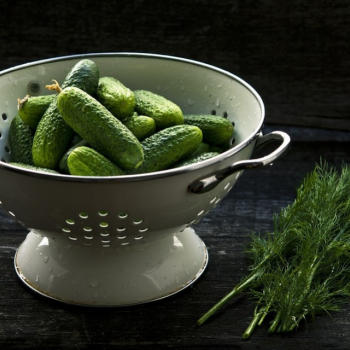 Contre la dépression, mangez du cornichon !