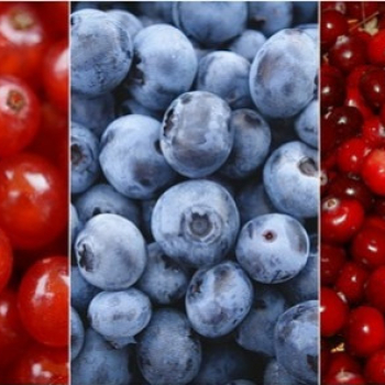 Respecter l’équilibre acido-basique pour une meilleure alimentation !