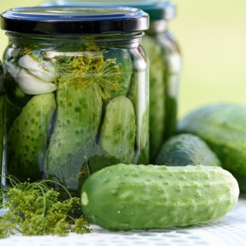 La recette des cornichons faits maison