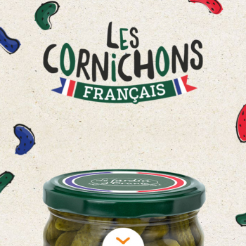 Tout nouveau, tout beau : notre site web Cornichon Français
